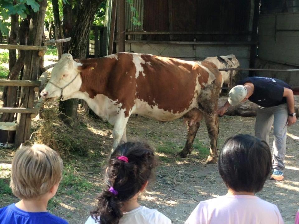 Agriturismo Da Baffone Santo Stefano del Sole Екстериор снимка
